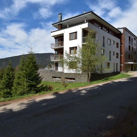 Apartmany Michael Špindlerŭv Mlýn 外观 照片